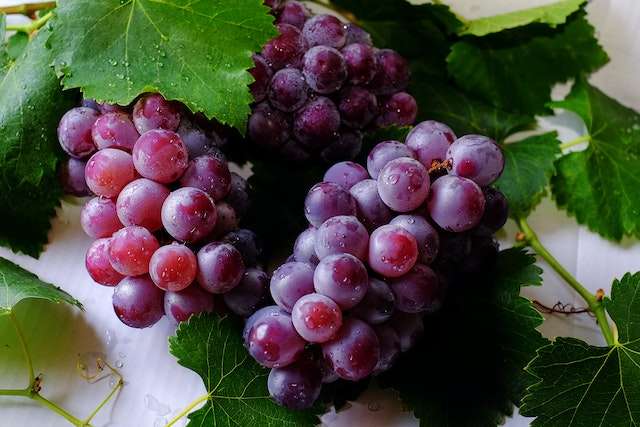 Option For Step-by-Step Guide to Making Candy Grapes