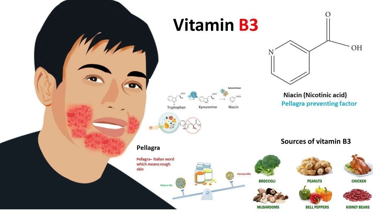Vitamin B3 for skincare