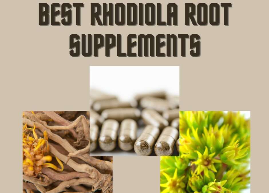 Best Rhodiola Supplement {2023 Top Picks}